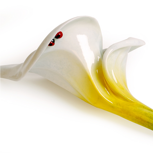Calla Lily bronze sculpture by Tim Cotterill