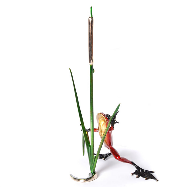 Cattail bronze frog by Tim Cotterill