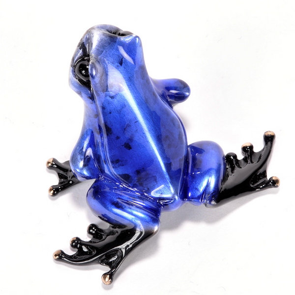 Cosmos bronze frog by Tim Cotterill