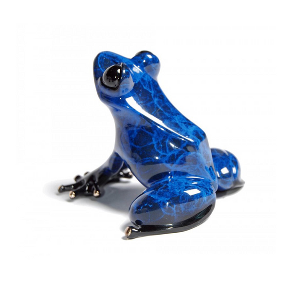 Indigo bronze frog by Tim Cotterill
