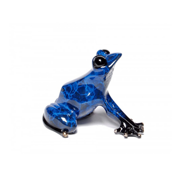 Indigo bronze frog by Tim Cotterill