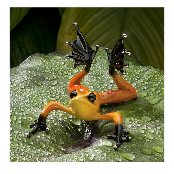 Sunbather bronze frog by Tim Cotterill