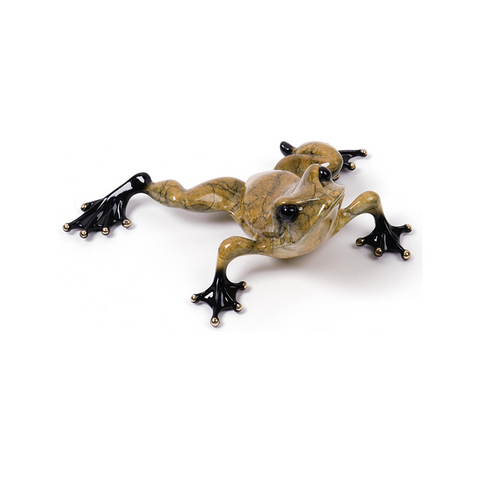 Toady bronze frog by Tim Cotterill