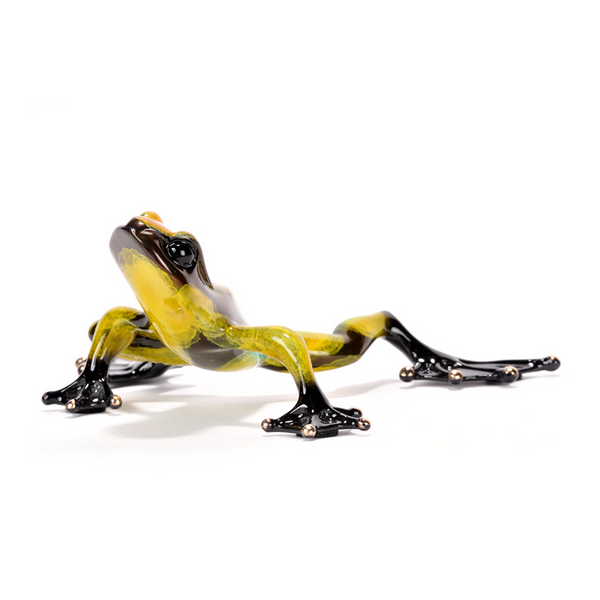 Zorro bronze frog by Tim Cotterill